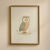Owl Cute 1