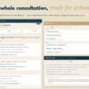 The Interior Advisor final action kit dashboard with full-room plan and shopping list